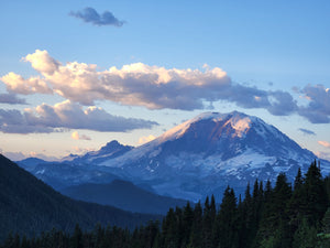 Climbing Mt. Rainier via Disappointment Cleaver | Elevation 14,411'