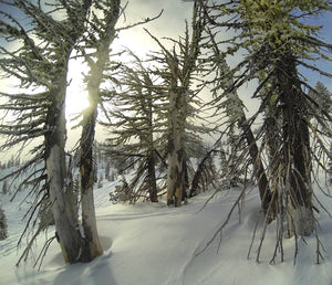 Mount Bachelor | Welcome Back, Winter