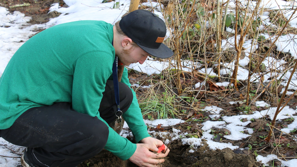 Snow Problem | 200 Native Plants in the Frozen Ground